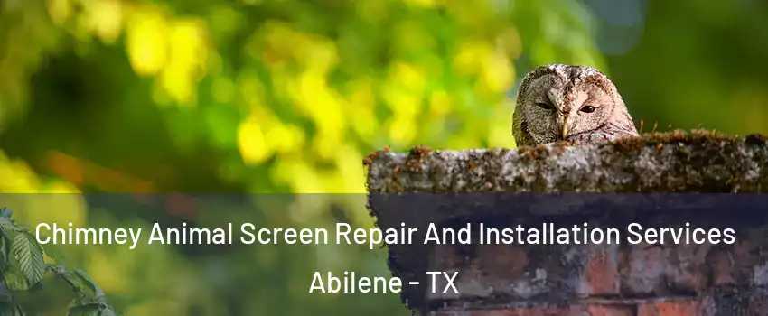  Chimney Animal Screen Repair And Installation Services Abilene - TX