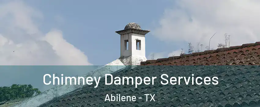  Chimney Damper Services Abilene - TX