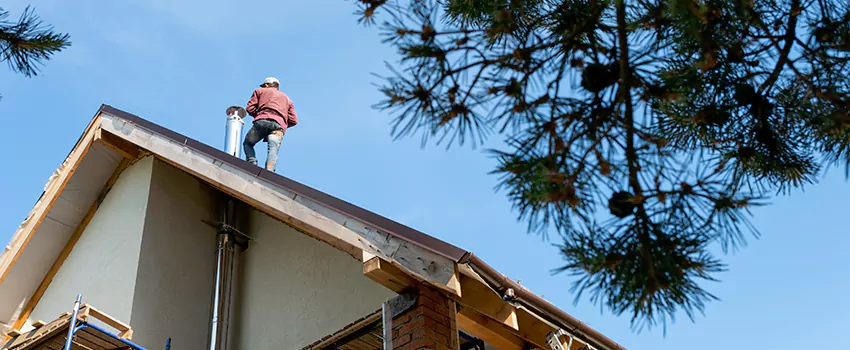 Birds Removal Contractors from Chimney in Abilene, TX
