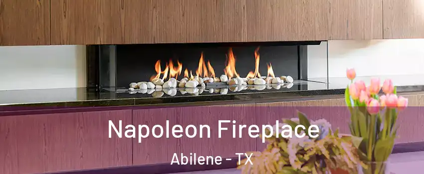  Napoleon Fireplace Abilene - TX